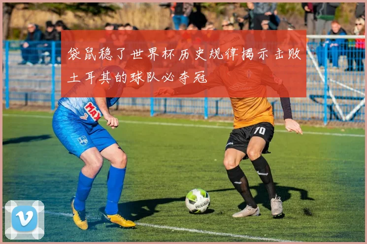 袋鼠稳了世界杯历史规律揭示击败土耳其的球队必夺冠