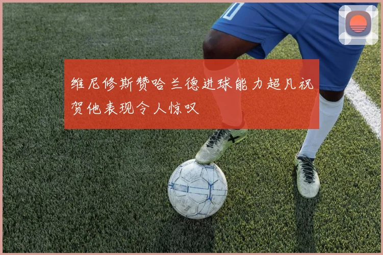 维尼修斯赞哈兰德进球能力超凡祝贺他表现令人惊叹